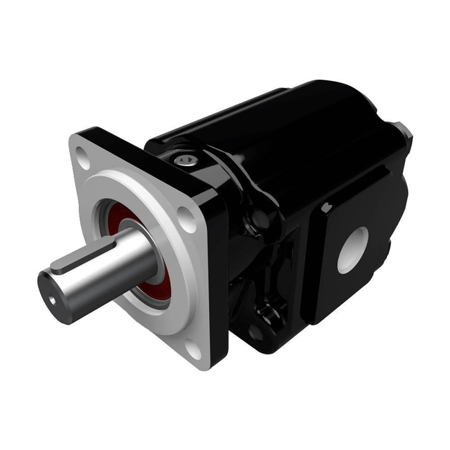 Cast Iron Pumps – PGM051 Series
